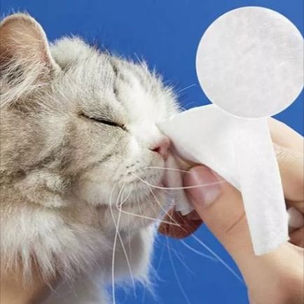Pet Wipe Éadach: Gadgets le haghaidh Cúram Sláinteachais Peataí